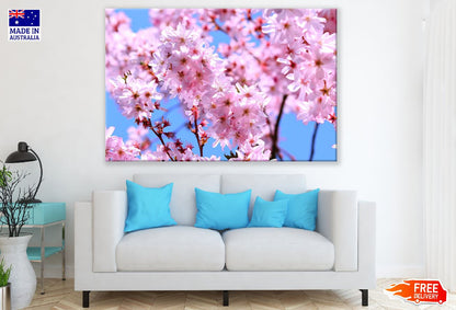 Pink Cherry Blossom Flowers View Photograph Print 100% Australian Made