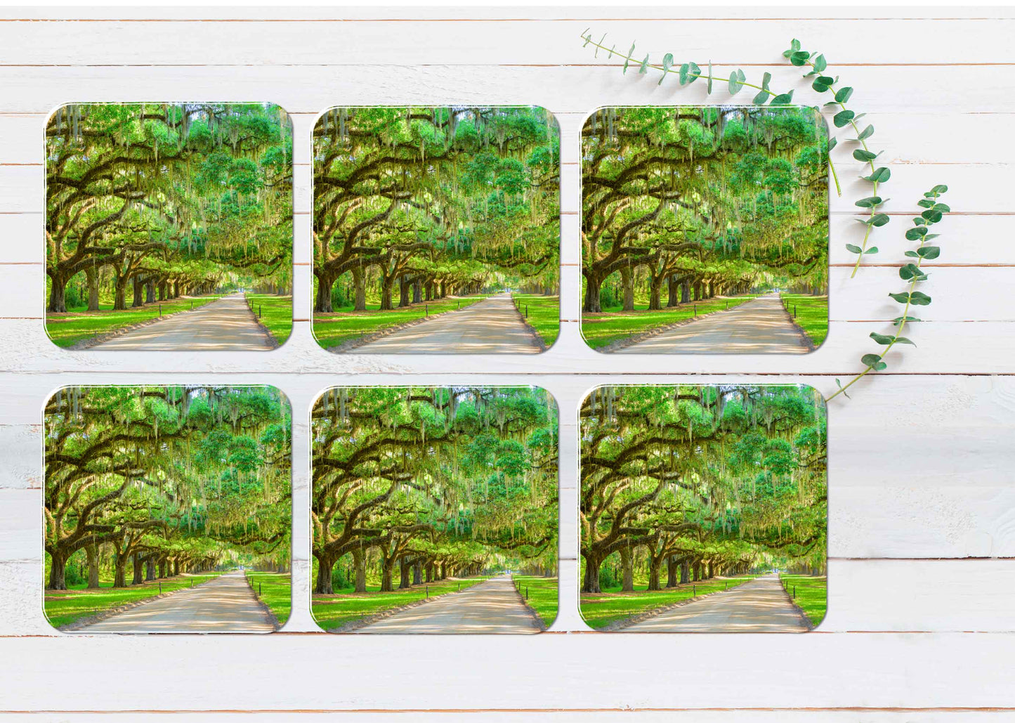 Tree Plantation Entrance in USA Coasters Wood & Rubber - Set of 6 Coasters