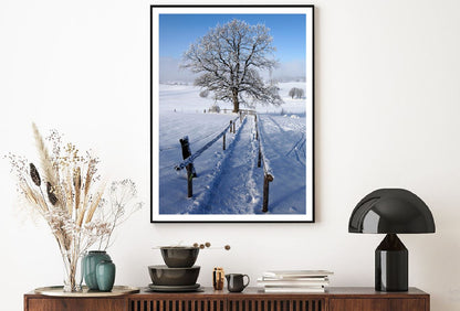 Old Tree in Meadow Winter Scenery Photograph Home Decor Premium Quality Poster Print Choose Your Sizes