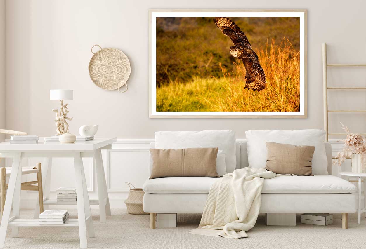Flying Owl on Field Photograph Home Decor Premium Quality Poster Print Choose Your Sizes