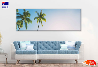 Panoramic Canvas Palm Trees with Sky View Photograph High Quality 100% Australian Made Wall Canvas Print Ready to Hang