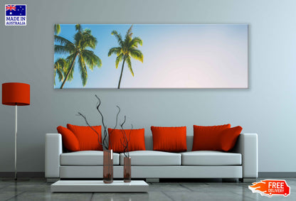 Panoramic Canvas Palm Trees with Sky View Photograph High Quality 100% Australian Made Wall Canvas Print Ready to Hang