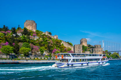 Istanbul Bosphorus View Photograph in Turkey Print 100% Australian Made