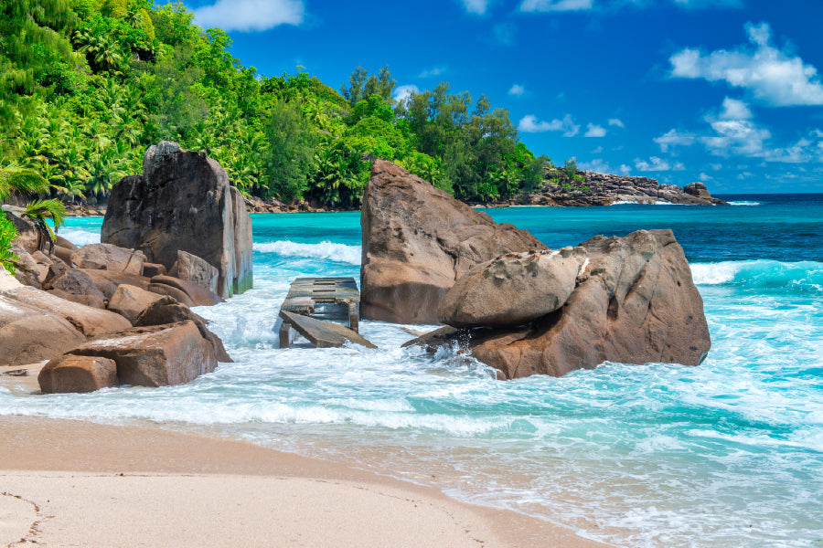 Rocks & Trees on Ocean Photograph Seychelles Home Decor Premium Quality Poster Print Choose Your Sizes