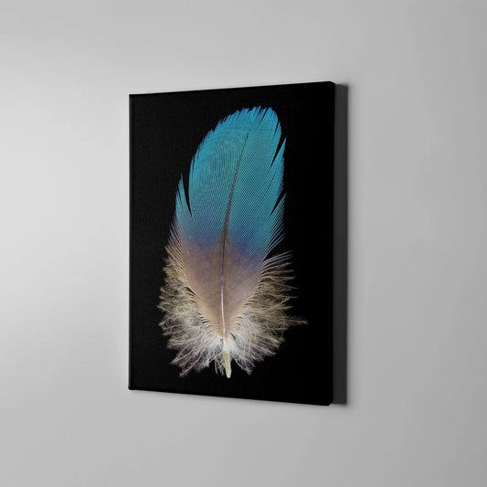 Feather Closeup Photograph Acrylic Glass Print Tempered Glass Wall Art 100% Made in Australia Ready to Hang