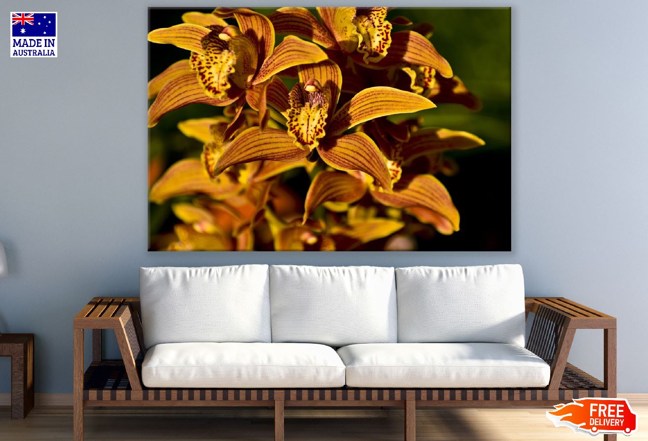 Orange Orchid Flower Closeup Photograph Print 100% Australian Made