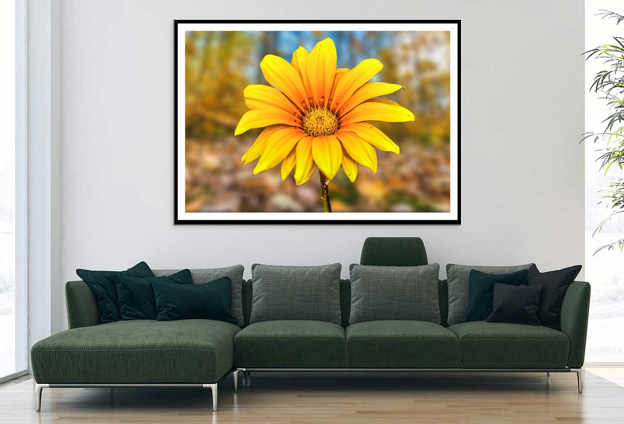 Yellow Daisy Flower Closeup View Photograph Home Decor Premium Quality Poster Print Choose Your Sizes