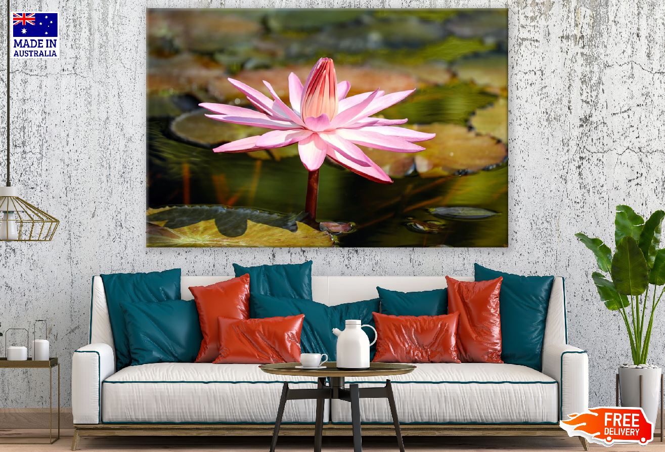 Pink Lotus Flower Closeup Photograph Print 100% Australian Made