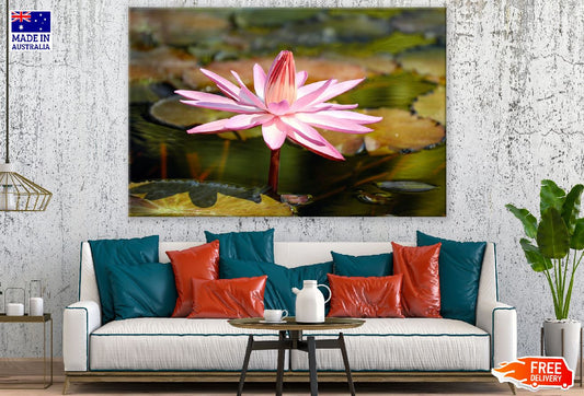 Pink Lotus Flower Closeup Photograph Print 100% Australian Made