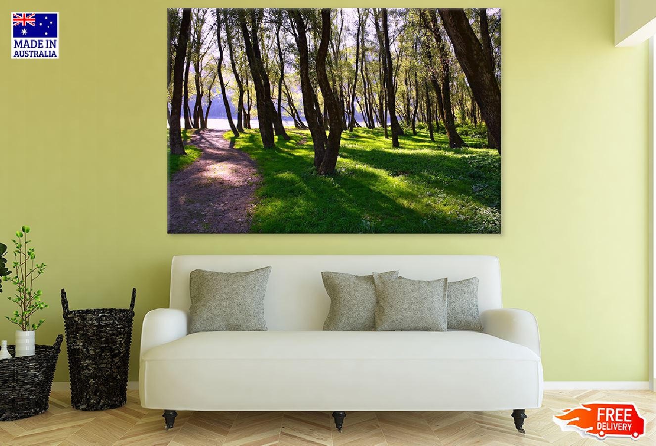 Footpath in Dark Forest Photograph Print 100% Australian Made