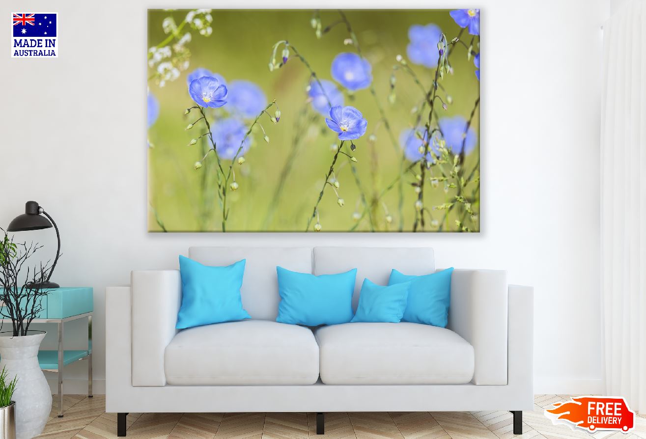 Field With Blue Flax Flowers Photograph Print 100% Australian Made