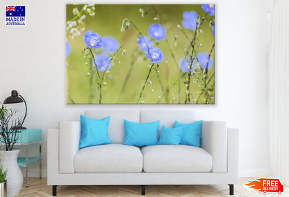 Field With Blue Flax Flowers Photograph Print 100% Australian Made