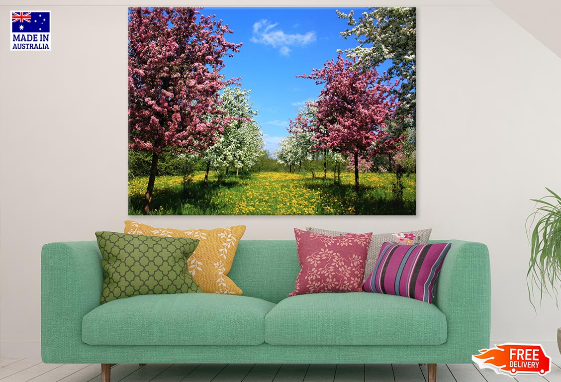 Colorful Trees in Garden Photograph Print 100% Australian Made