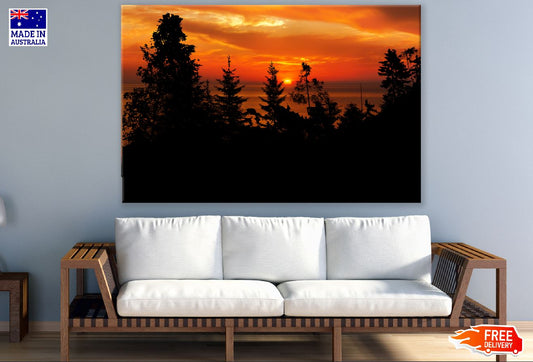 Forest Near Beach Sunset Photograph Print 100% Australian Made