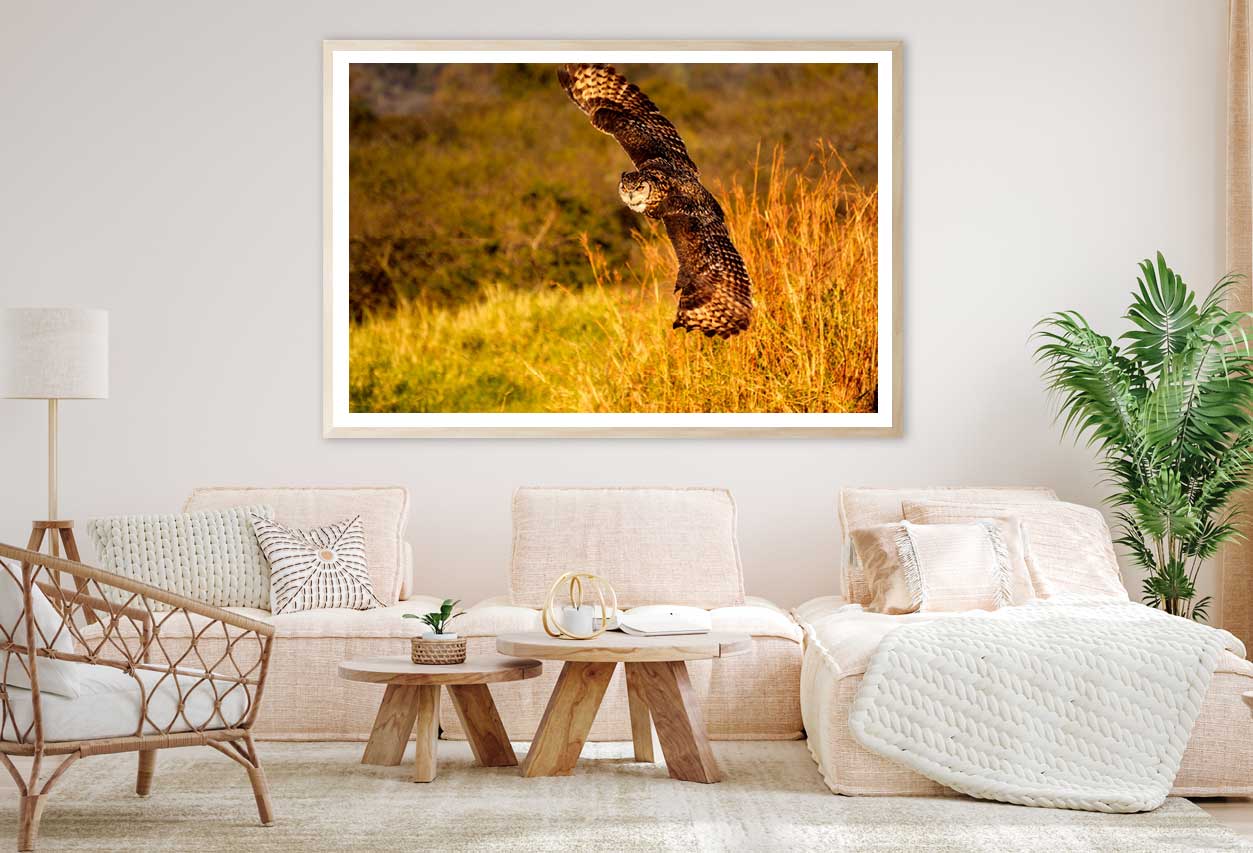 Flying Owl on Field Photograph Home Decor Premium Quality Poster Print Choose Your Sizes