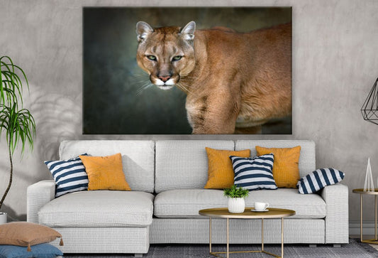 Puma Mountain Lion Print Ready to hang 100% Australian Made