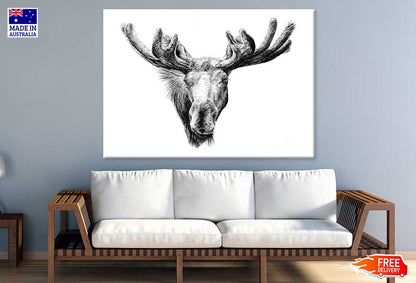 Moose Face Drawing Photograph Print 100% Australian Made