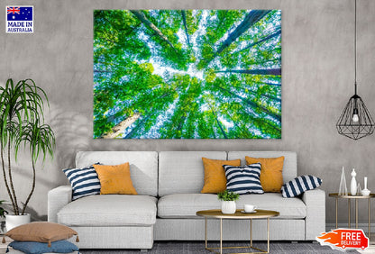 Green Tall Trees View From Below Photograph Print 100% Australian Made