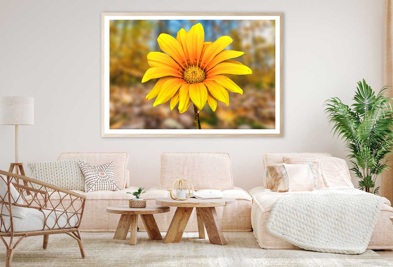 Yellow Daisy Flower Closeup View Photograph Home Decor Premium Quality Poster Print Choose Your Sizes