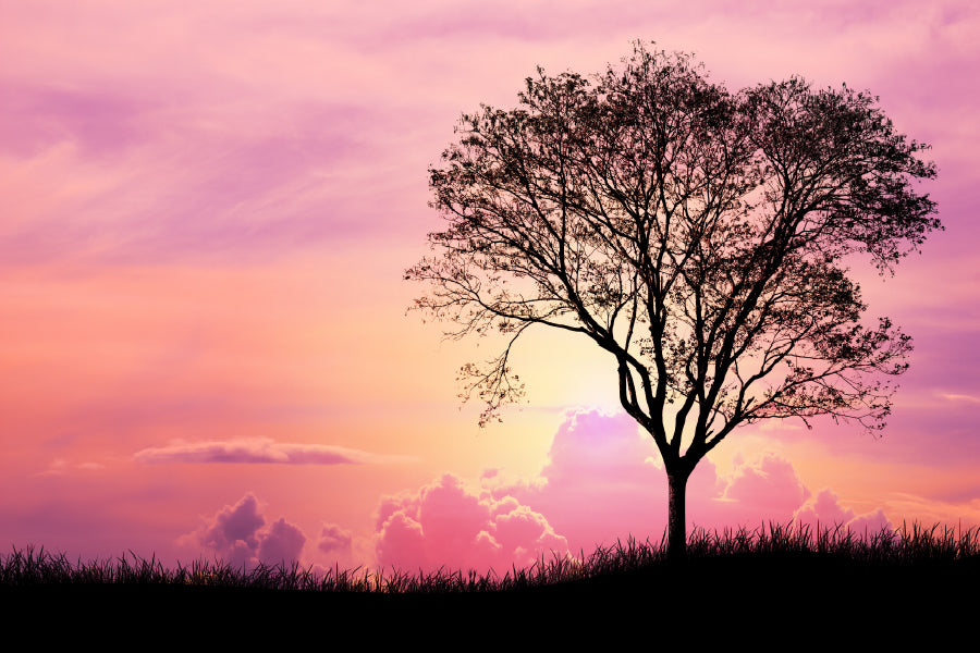 Silhouette Tree & Grass Pink Sky View Photograph Home Decor Premium Quality Poster Print Choose Your Sizes
