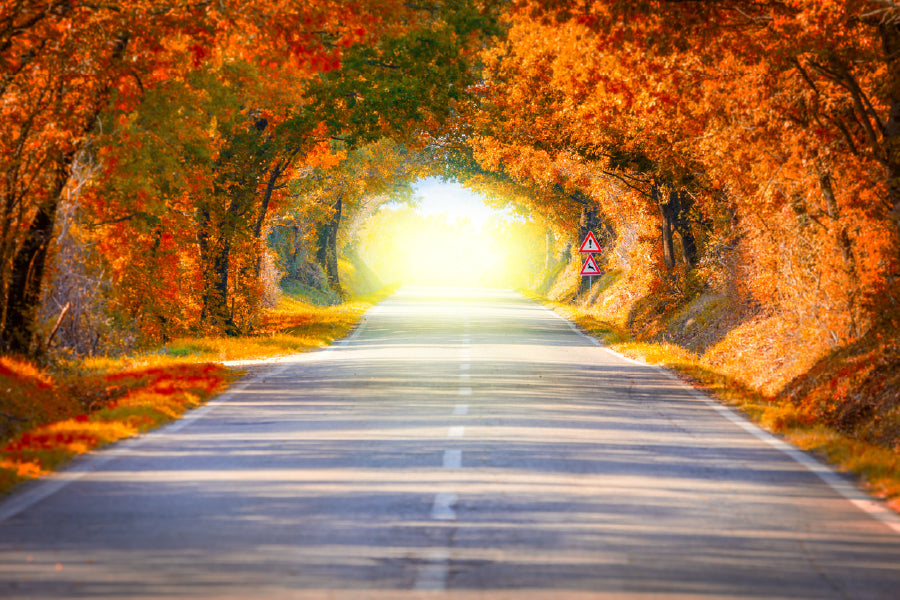 Autumn Fall Road Landscape View Photograph Print 100% Australian Made