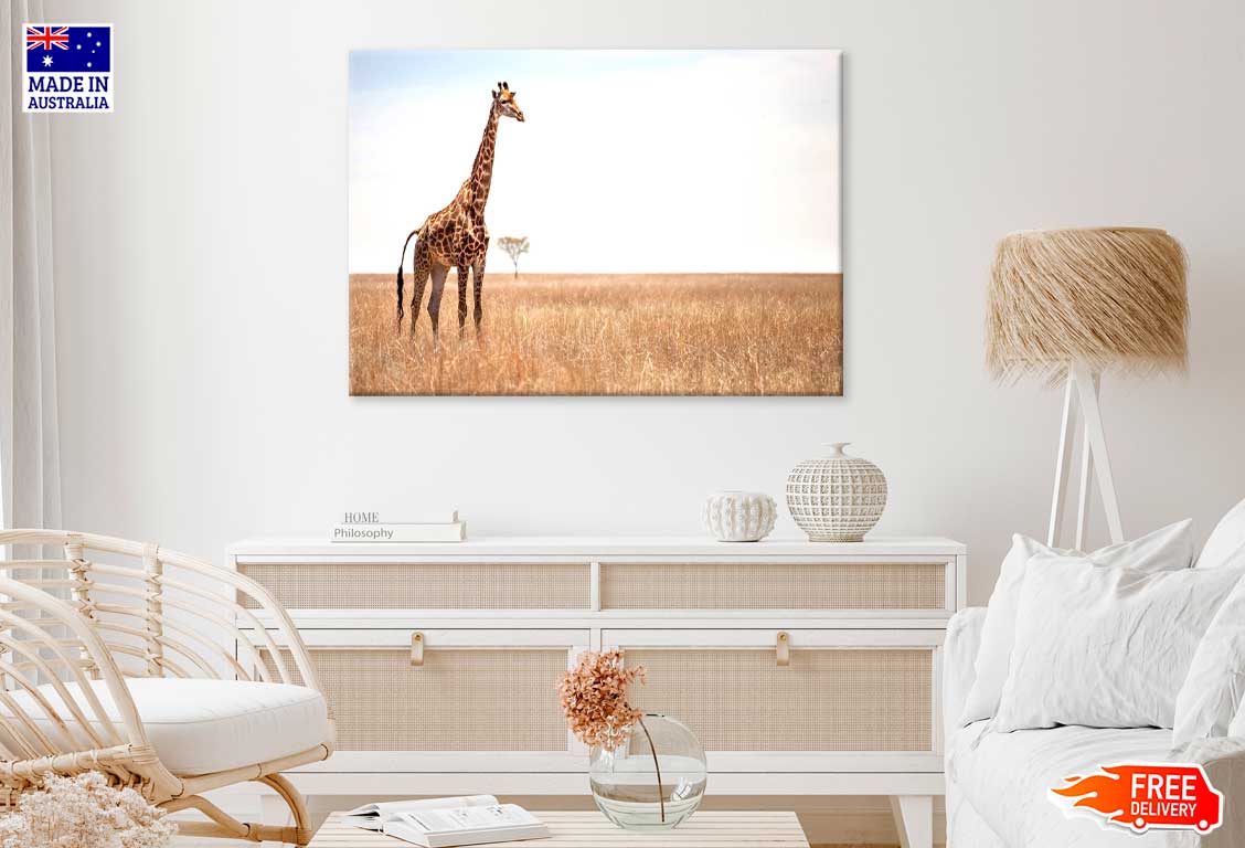 Giraffe on African Landscape Photograph Print 100% Australian Made