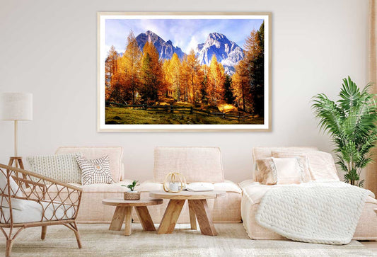 Autumn Trees & Mountains Scenery Photograph Home Decor Premium Quality Poster Print Choose Your Sizes