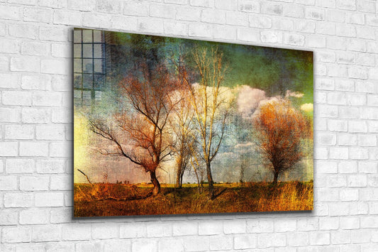 Leafless Trees Field Print Tempered Glass Wall Art 100% Made in Australia Ready to Hang