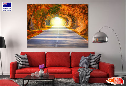 Autumn Fall Road Landscape View Photograph Print 100% Australian Made