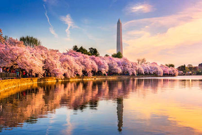 Bella Home Sakura Trees By the Lake View Print Canvas Ready to hang