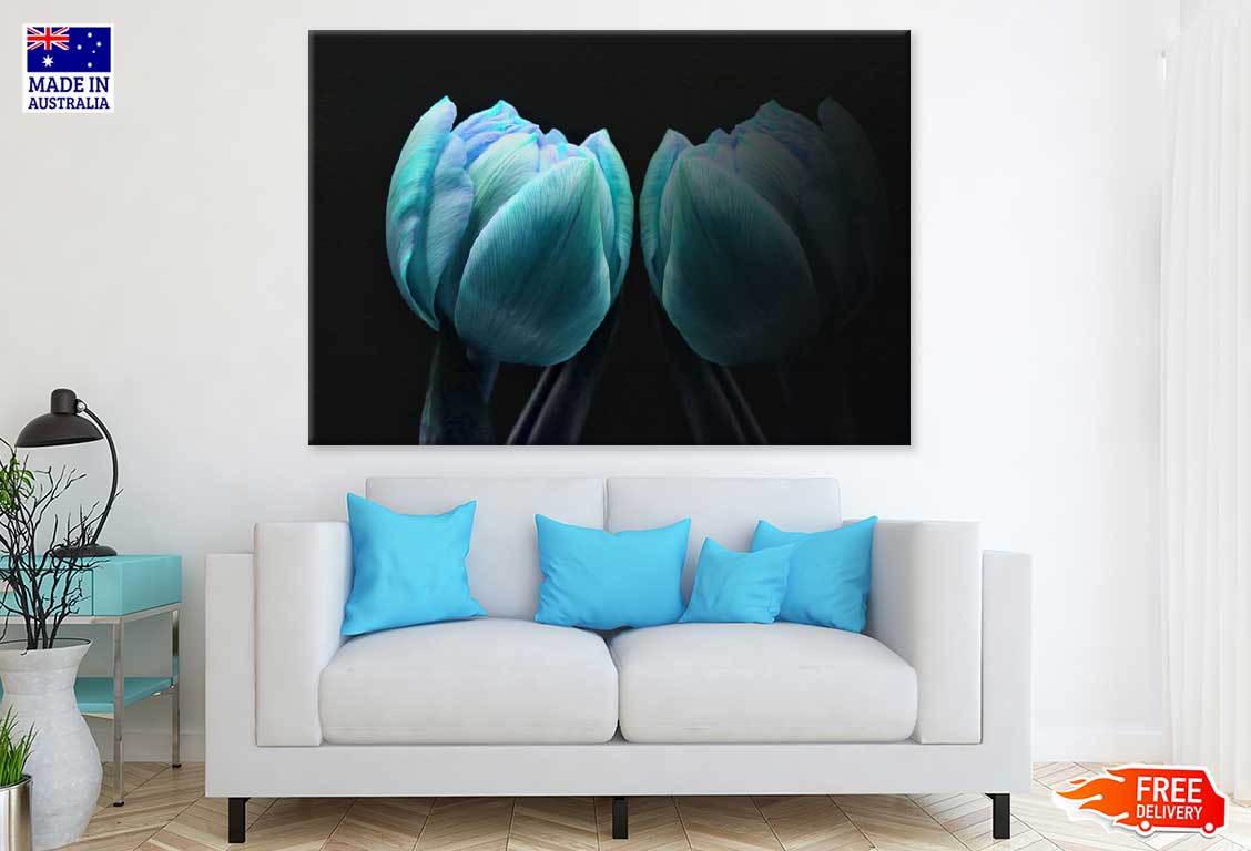 Blue Tulip on Dark Closeup View Photograph Print 100% Australian Made
