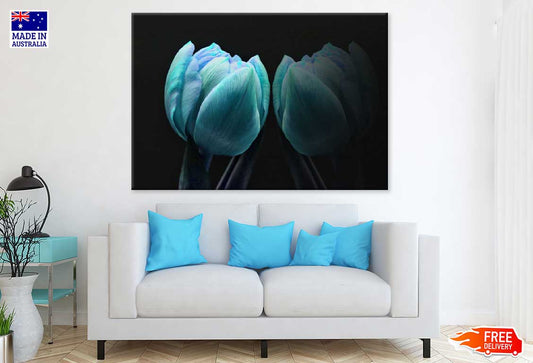Blue Tulip on Dark Closeup View Photograph Print 100% Australian Made