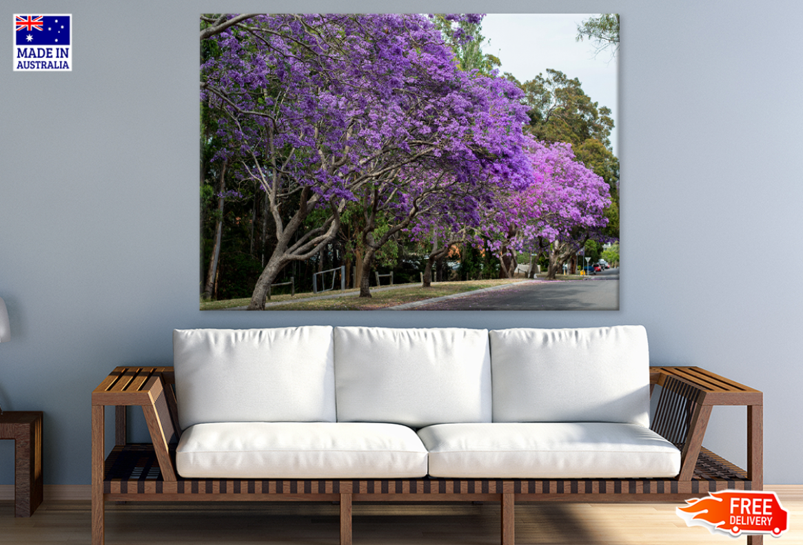 Blossom Trees & Sky View Photograph Print 100% Australian Made