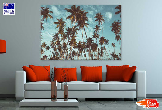 Coconut Palm Trees & Sky View Photograph Print 100% Australian Made