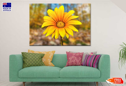 Yellow Daisy Flower Closeup View Photograph Print 100% Australian Made