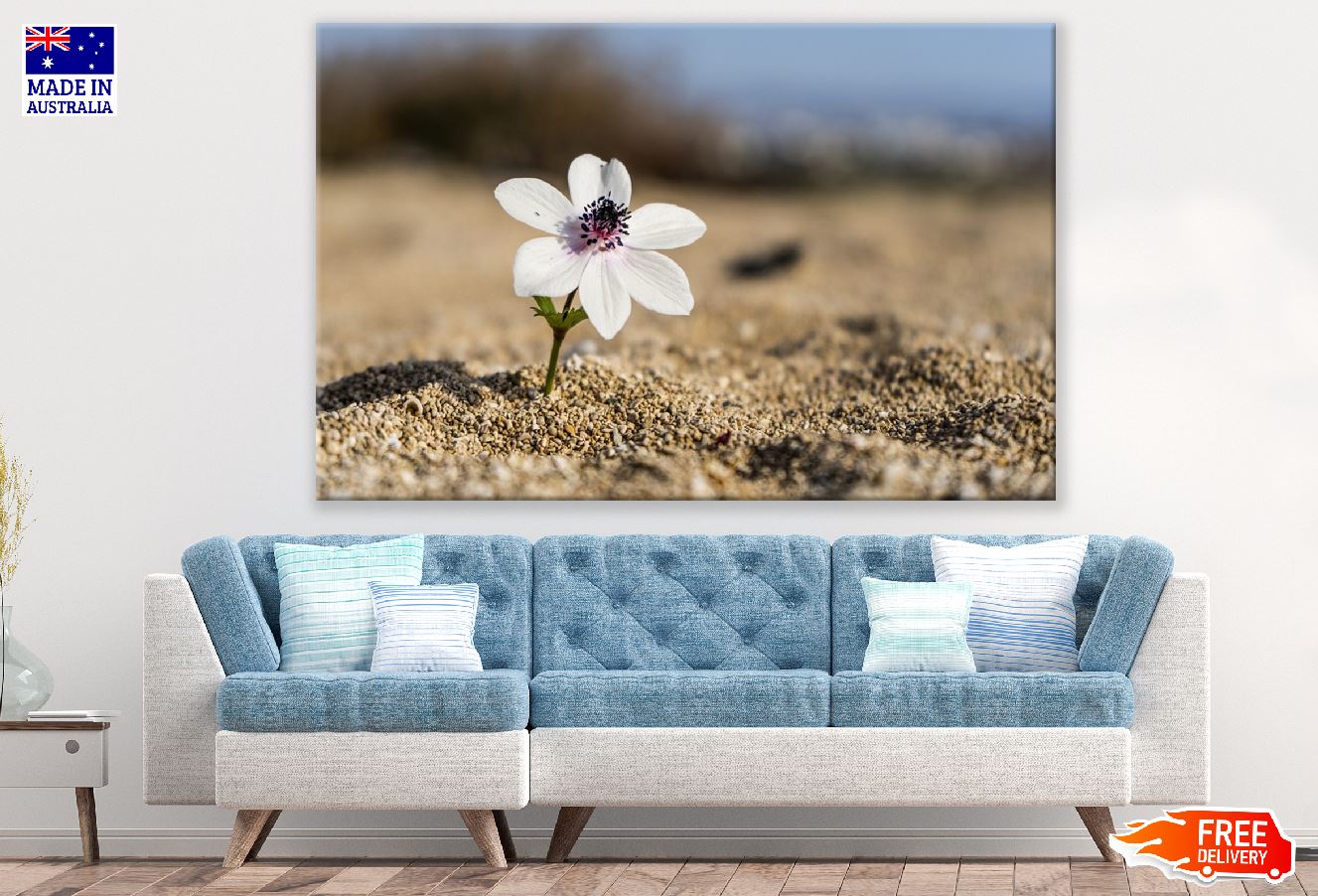 White Blossom Flower on Beach Closeup Photograph Print 100% Australian Made