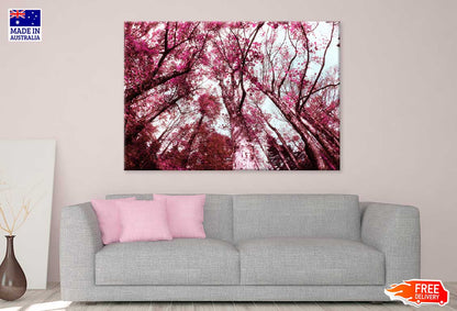 Pink Autumn Trees View from Below Photograph Print 100% Australian Made