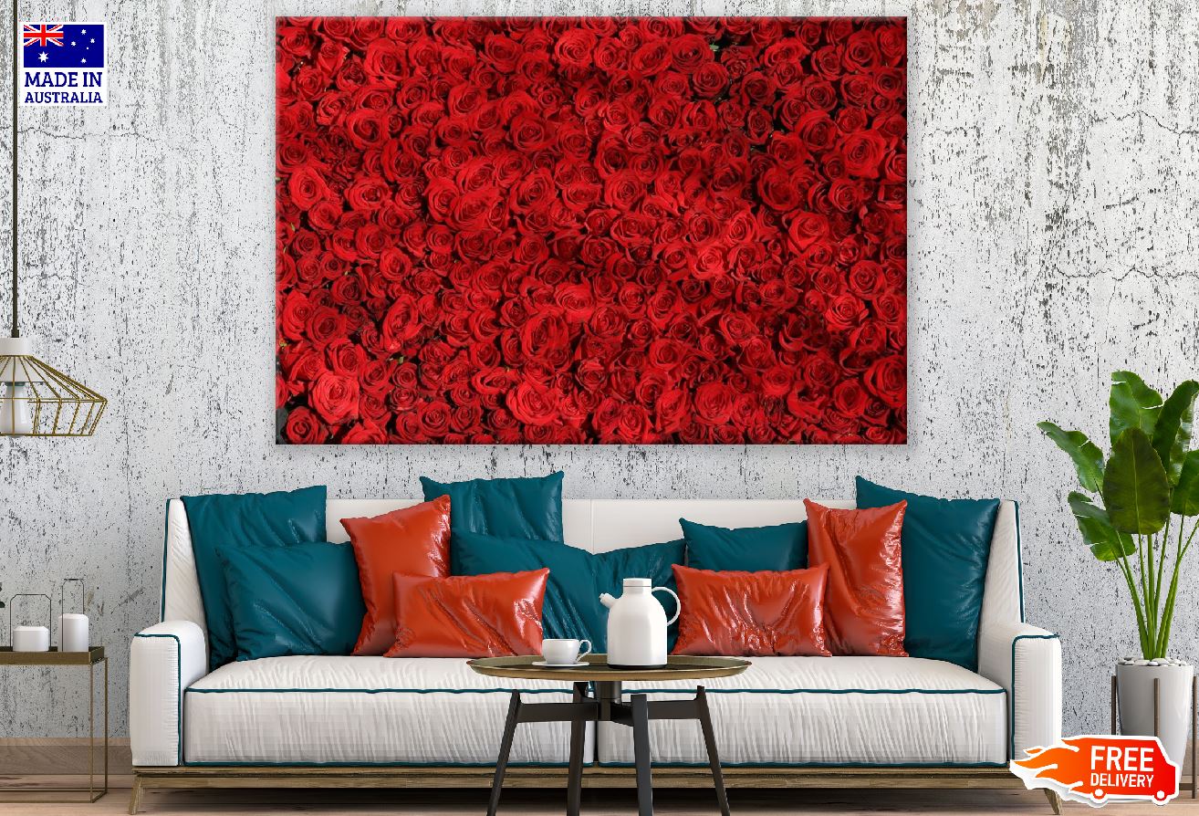 Red Roses Photograph Print 100% Australian Made