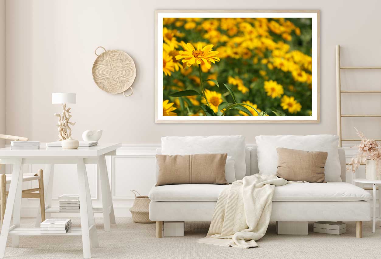 Yellow Daisies Field Closeup View Photograph Home Decor Premium Quality Poster Print Choose Your Sizes