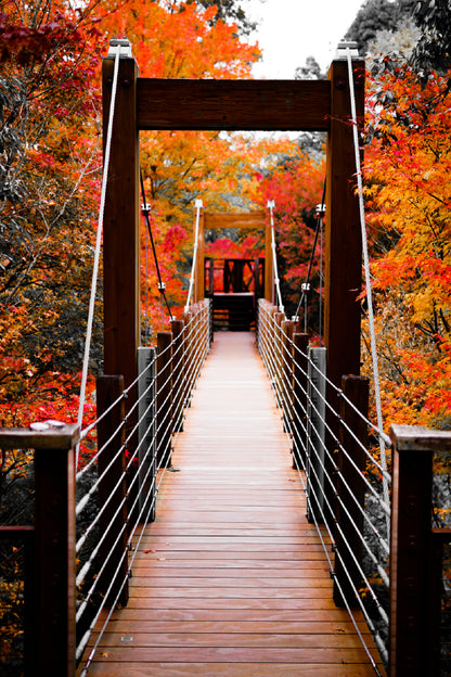 Suspension Bridge & Autumn Trees Scenery View Print 100% Australian Made