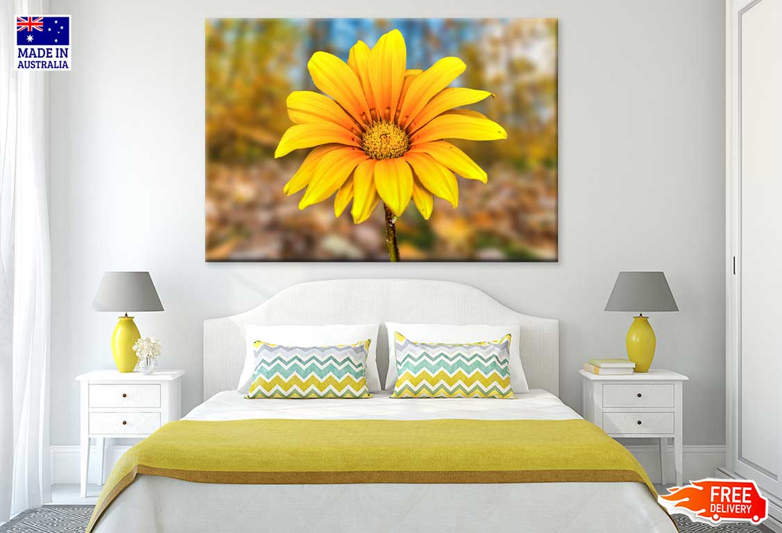 Yellow Daisy Flower Closeup View Photograph Print 100% Australian Made