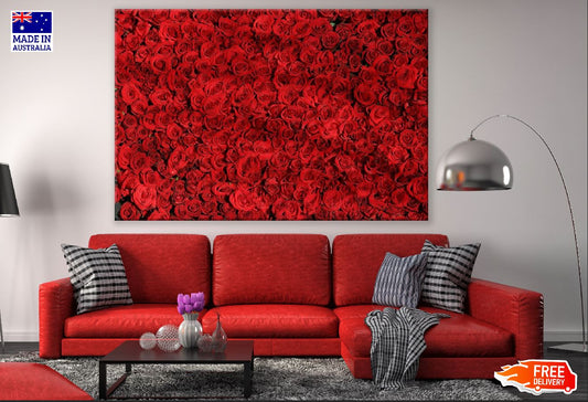 Red Roses Photograph Print 100% Australian Made