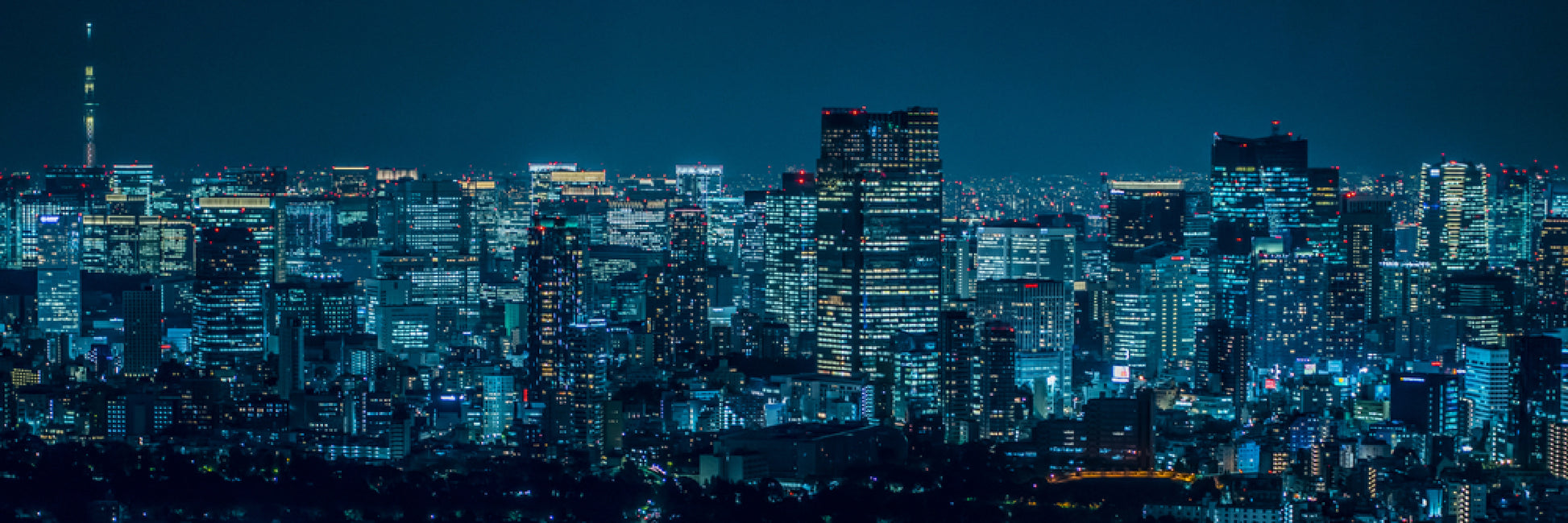 Panoramic Canvas Night View Photograph Tokyo Japan High Quality 100% Australian Made Wall Canvas Print Ready to Hang