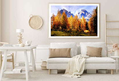 Autumn Trees & Mountains Scenery Photograph Home Decor Premium Quality Poster Print Choose Your Sizes