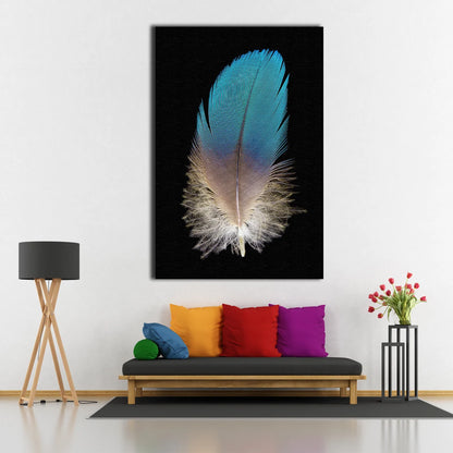 Feather Closeup Photograph Acrylic Glass Print Tempered Glass Wall Art 100% Made in Australia Ready to Hang