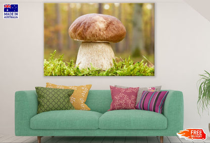 Boletus Edulis Mushroom Hat Photograph Print 100% Australian Made