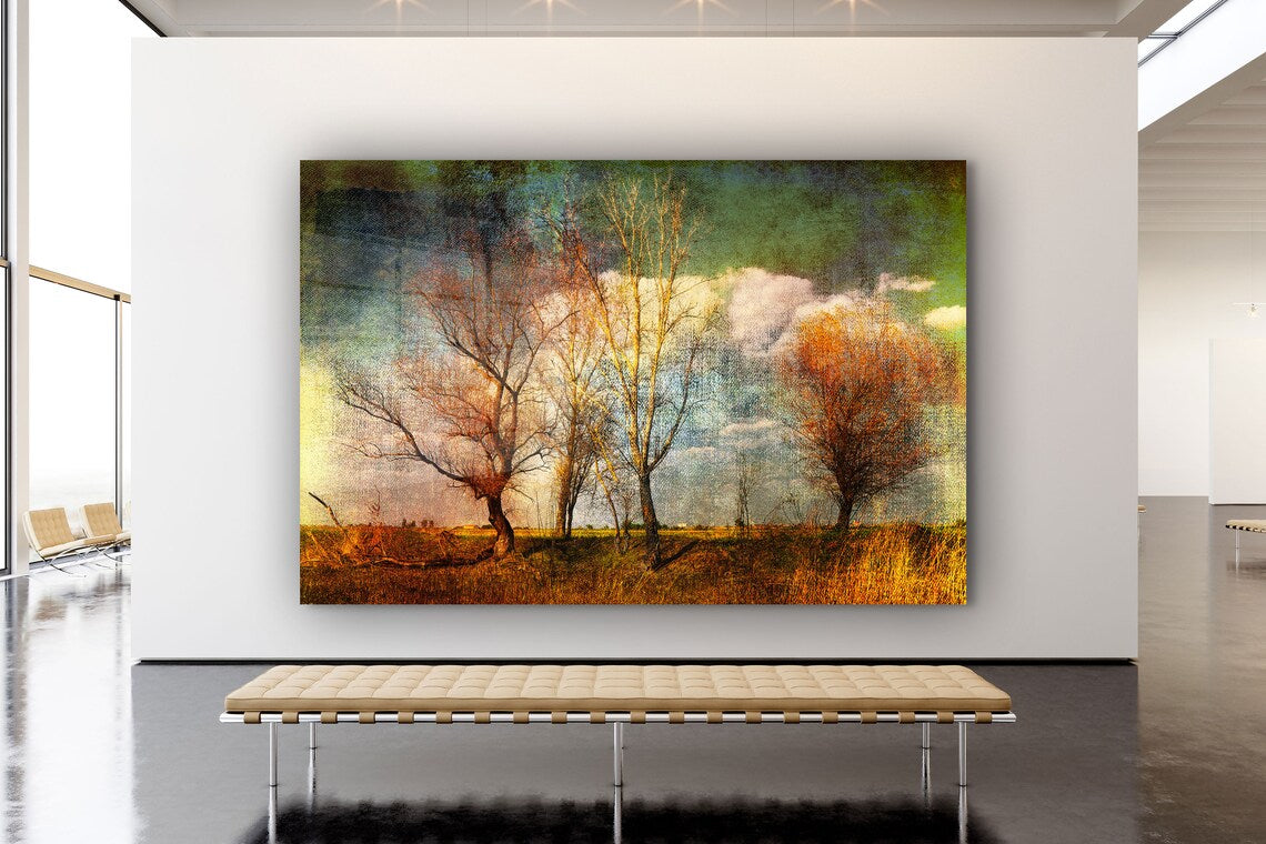 Leafless Trees Field Print Tempered Glass Wall Art 100% Made in Australia Ready to Hang