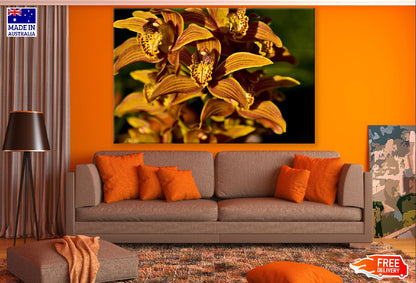 Orange Orchid Flower Closeup Photograph Print 100% Australian Made