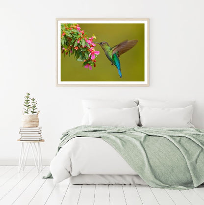 Humming Bird & Flowers Photograph Home Decor Premium Quality Poster Print Choose Your Sizes