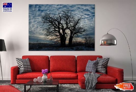 Trees on Hill with Cloudy Winter Photograph Print 100% Australian Made